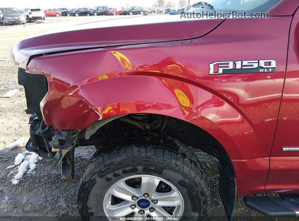 1FTEW1EG0GFD37887 2016 FORD F150 Maroon 