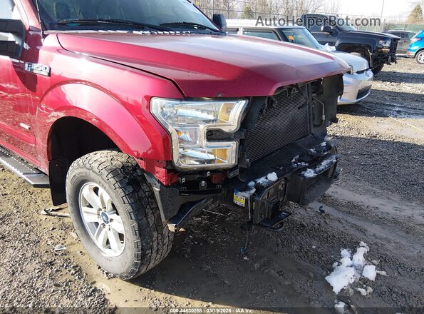 1FTEW1EG0GFD37887 2016 FORD F150 Maroon 