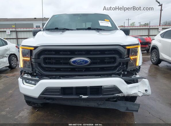 1FTEW1EP0PFA78401 2023 FORD F150 White Rear interior view