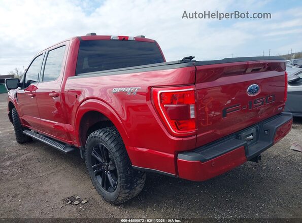 1FTEW1EP3MFC50061 2021 FORD F150 Red Tył lewy