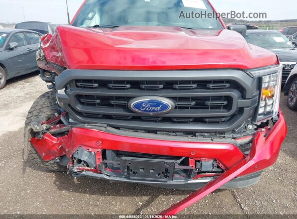 1FTEW1EP3MFC50061 2021 FORD F150 Red Widok wnętrza z tyłu