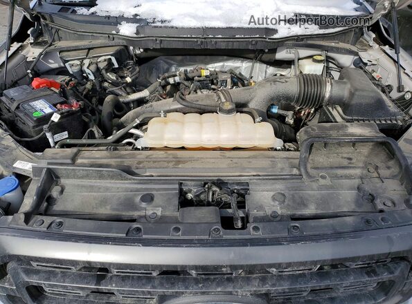 1FTEW1EP3MKD13490 2021 FORD F150 Gray Rear interior view