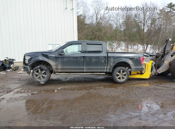 1FTEW1EP4GFC69304 2016 FORD F150 Black Widok wnętrza 360 stopni