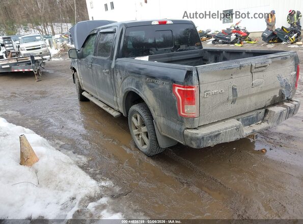 1FTEW1EP4GFC69304 2016 FORD F150 Black Tył lewy