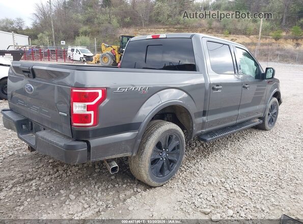 1FTEW1EP4KFA40520 2019 FORD F150 Gray Tył prawy