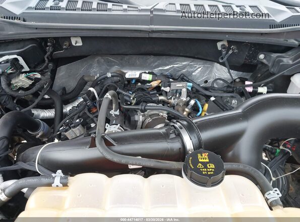 1FTEW1EP4KFA40520 2019 FORD F150 Gray Widok z tyłu