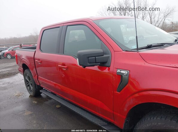 1FTEW1EP4MKE63480 2021 FORD F150 Красный Панорамный вид салона 360°