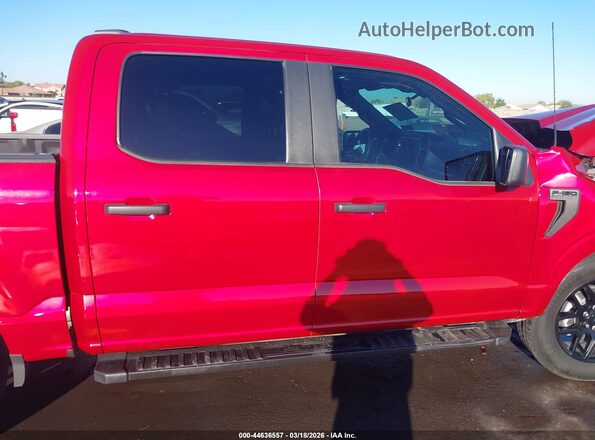 1FTEW2KP7RKD02378 2024 FORD F150 Red 