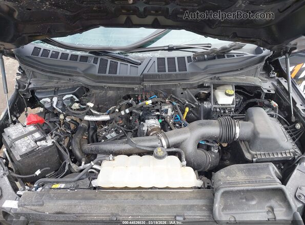 1FTEW2LP2RKE45821 2024 FORD F150 Black Widok z tyłu