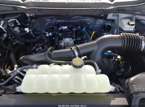 1FTEW2LP3SFC63964 2025 FORD F150 White Հետևի տեսք