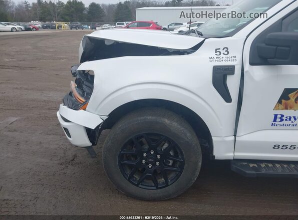 1FTEW2LP7SKD28824 2025 FORD F150 Белый 