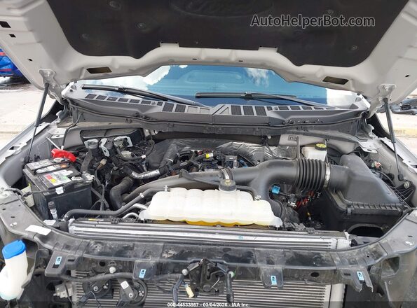 1FTEW3KPXRKF58438 2024 FORD F150 Gray 