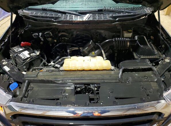 1FTEX1C58MFC81675 2021 FORD F150 Синий Вид задней части салона