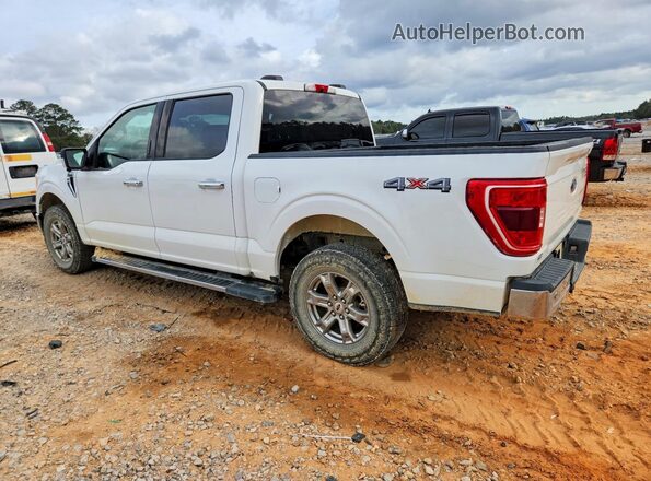 1FTFW1E55MFB02173 2021 FORD F150 White უკანა მარცხენა
