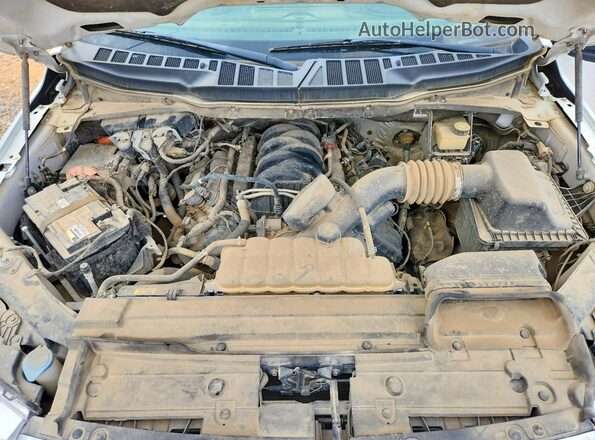 1FTFW1E55MFB02173 2021 FORD F150 White უკანა სალონის ხედი