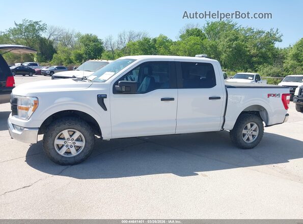 1FTFW1E5XMFA69591 2021 FORD F150 White 360 interior view