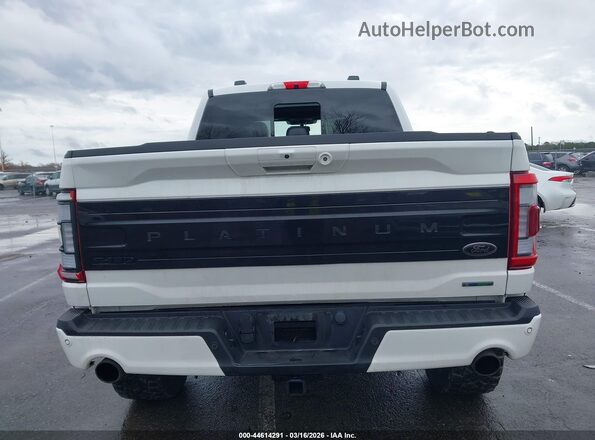 1FTFW1E87PFA14384 2023 FORD F150 White 