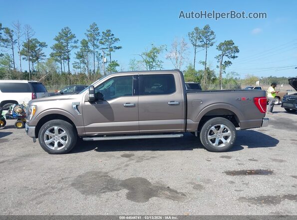 1FTFW1E8XMFC85385 2021 FORD F150 Brown Панорамний вид салону 360°