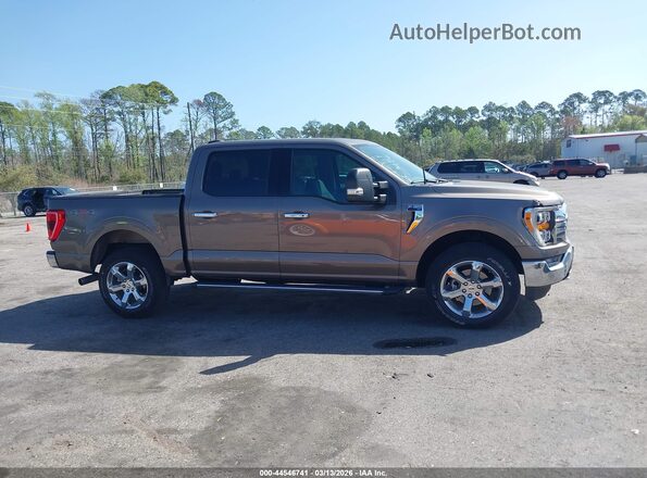 1FTFW1E8XMFC85385 2021 FORD F150 Brown Вид задньої частини салону