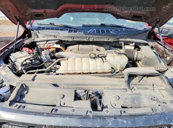 1FTFW1ED0MFB96390 2021 FORD F150 Красный Вид задней части салона