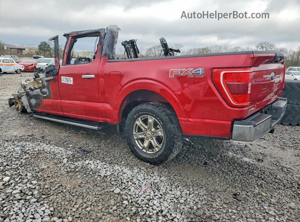 1FTFW1EDXMFB45964 2021 FORD F150 Red უკანა მარცხენა