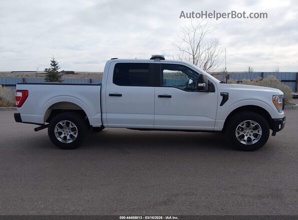 1FTFW1P80MKE96258 2021 FORD F-150 POLICE RESPONDER White 