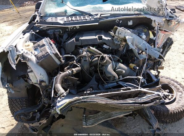 1FTFW1RG8HFB29465 2017 FORD F150 White Rear view