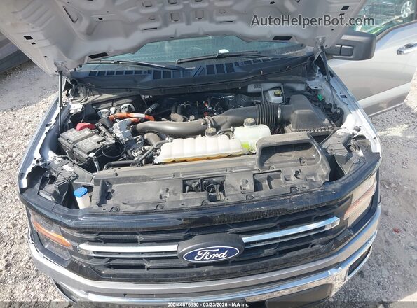 1FTFW3LD2SFB00688 2025 FORD F150 Gray Հետևի տեսք