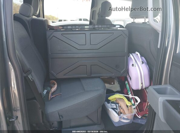 1FTFW3LD5RFA36821 2024 FORD F150 Серый 