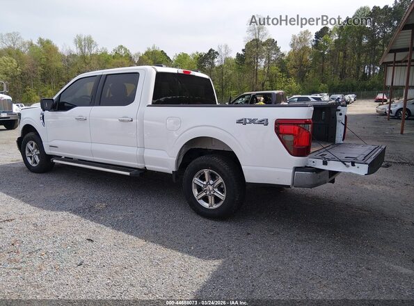 1FTFW3LD6RFA89561 2024 FORD F150 White Rear left