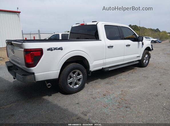 1FTFW3LD6RFA89561 2024 FORD F150 White Rear right