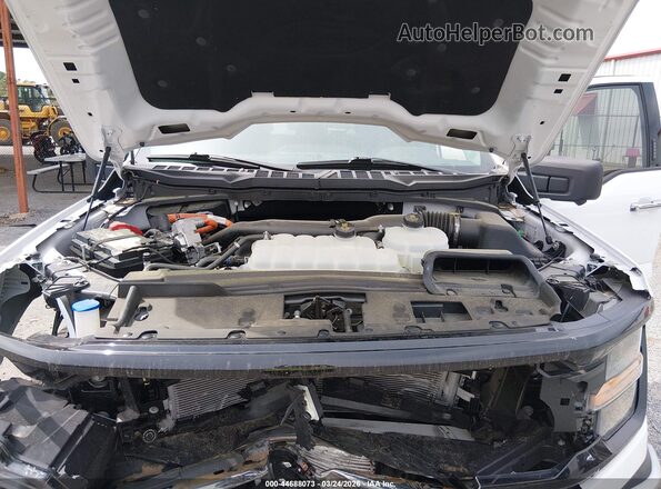 1FTFW3LD6RFA89561 2024 FORD F150 White Rear view