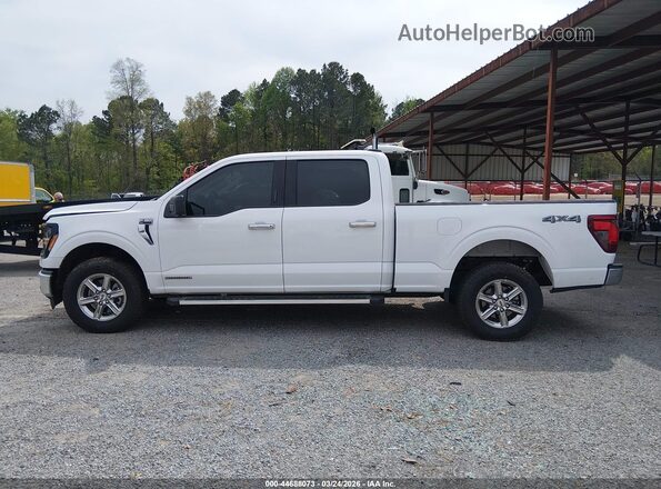 1FTFW3LD6RFA89561 2024 FORD F150 White 