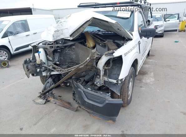 1FTMF1CB7MKD08702 2021 FORD F150 White Դիմացի տեսք