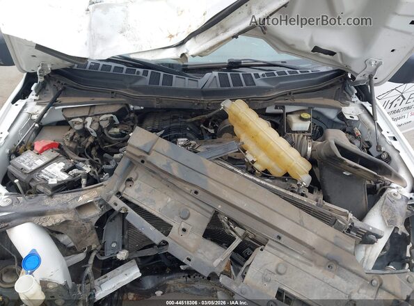 1FTMF1CB7MKD08702 2021 FORD F150 White Հետևի տեսք