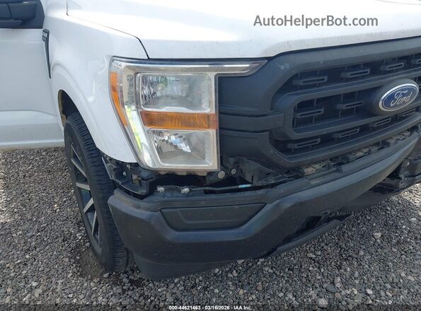 1FTMF1CB8MKE18206 2021 FORD F150 White 
