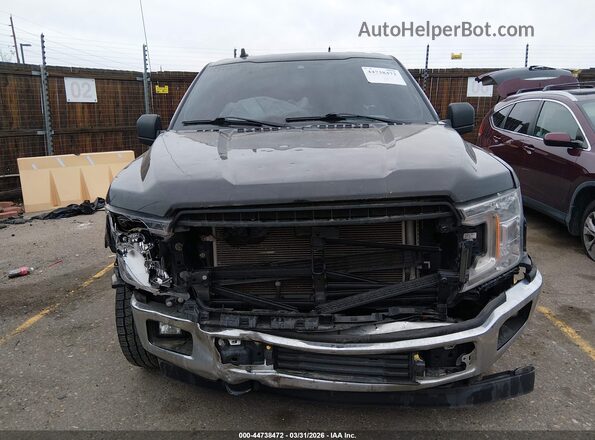 1FTMF1EB9LKF20822 2020 FORD F150 Black Вид задньої частини салону