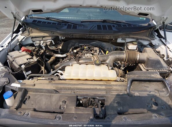 1FTMF1KP6RKD39945 2024 FORD F150 Белый Вид сзади