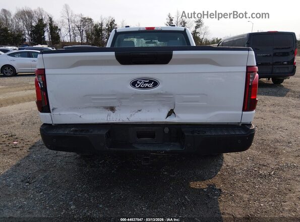 1FTMF1KP6RKD39945 2024 FORD F150 Белый 