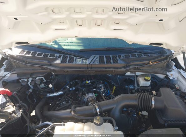 1FTMF1KP9RKF05441 2024 FORD F150 White Rear view