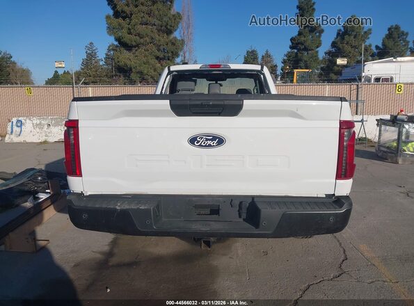 1FTMF1KP9RKF05441 2024 FORD F150 White 
