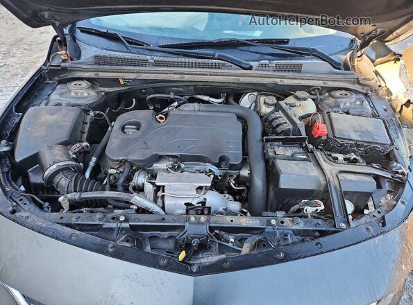 1G1ZB5ST0HF103099 2017 CHEVROLET MALIBU Серый Вид задней части салона