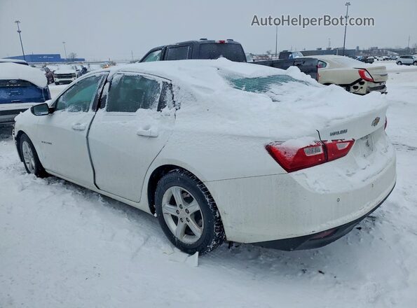 1G1ZB5ST0MF044582 2021 CHEVROLET MALIBU White Հետևի ձախ