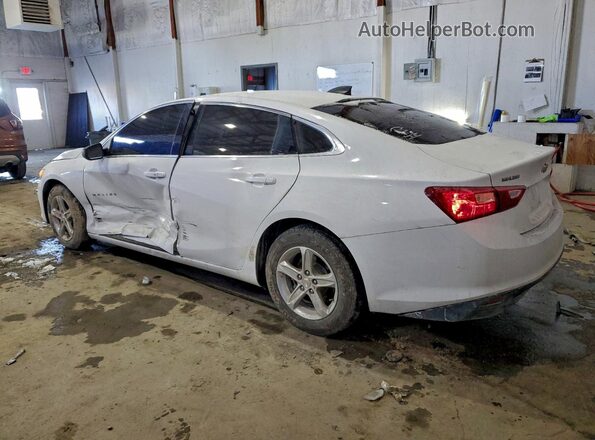 1G1ZB5ST3KF220019 2019 CHEVROLET MALIBU Белый 