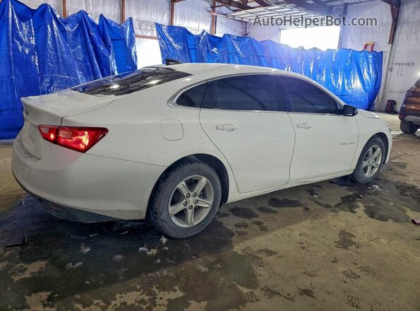 1G1ZB5ST3KF220019 2019 CHEVROLET MALIBU Белый 