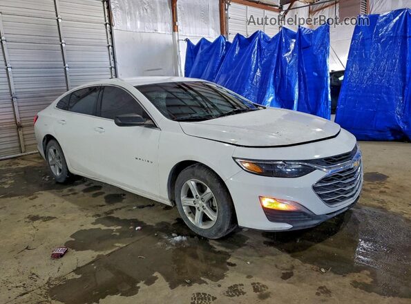1G1ZB5ST3KF220019 2019 CHEVROLET MALIBU Белый 