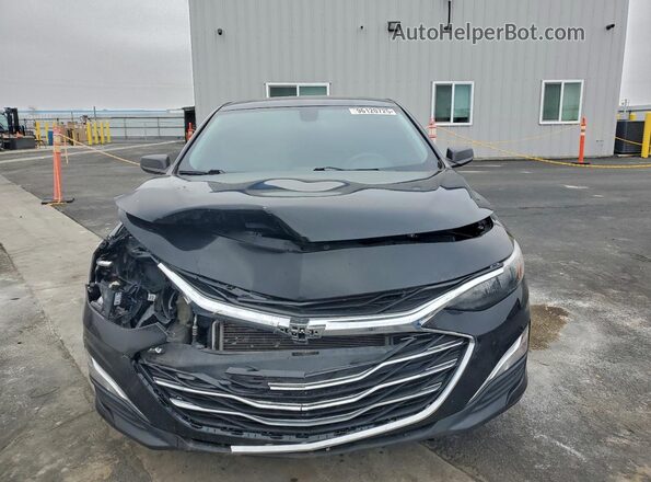 1G1ZB5ST5KF126921 2019 CHEVROLET MALIBU Черный 
