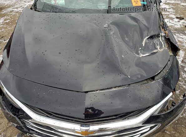 1G1ZD5ST6MF023004 2021 CHEVROLET MALIBU Black უკანა სალონის ხედი