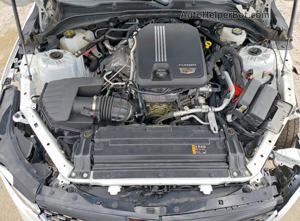1G6DB5RK1R0113436 2024 CADILLAC CT4 Белый Вид задней части салона