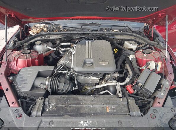 1G6DN5RK0S0116583 2025 CADILLAC CT5 Red Widok z tyłu